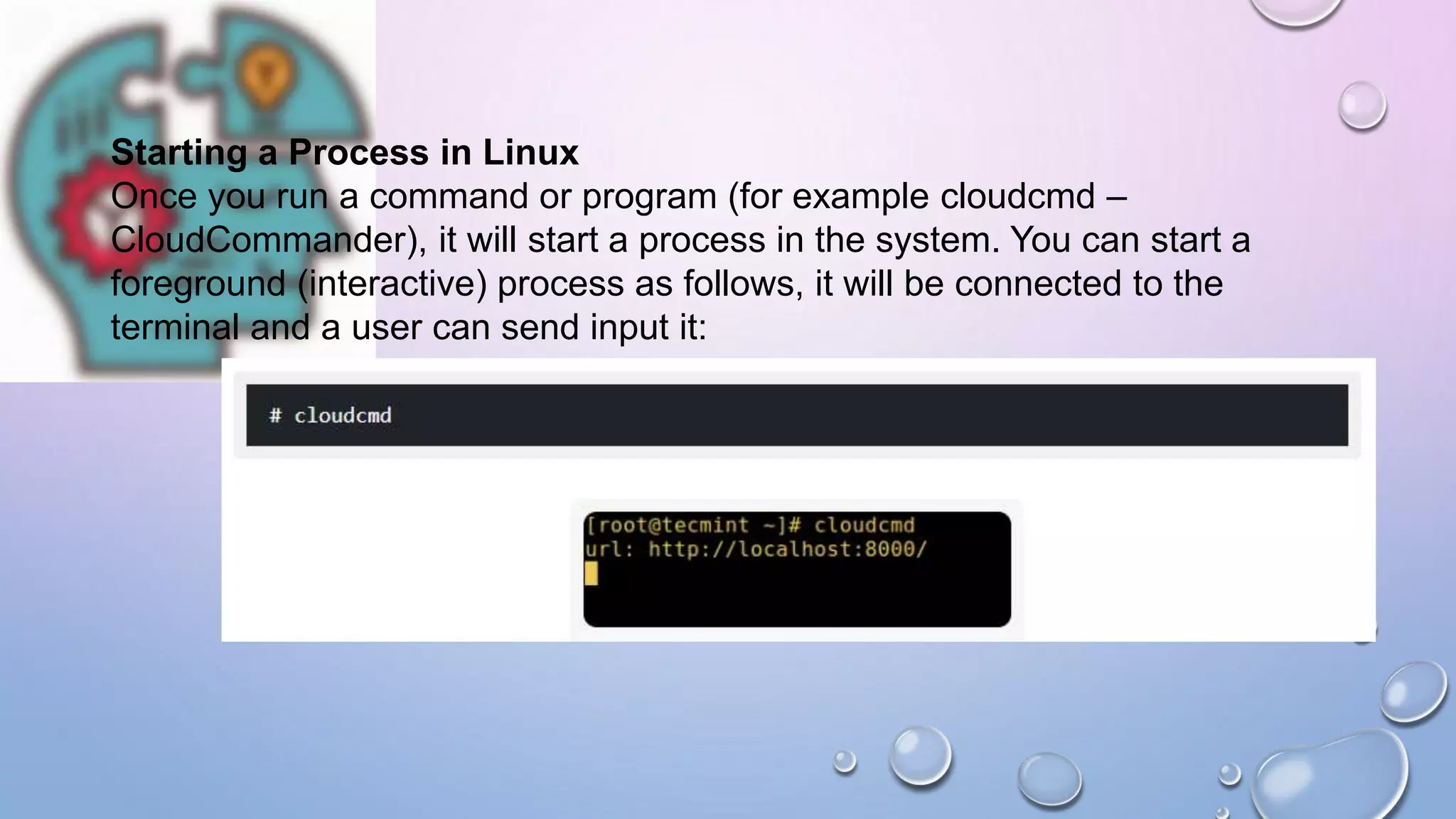 Starting a Process in Linux
Once you run a command or program (for example cloudcmd –
CloudCommander), it will start a process in the system. You can start a
foreground (interactive) process as follows, it will be connected to the
terminal and a user can send input it:
 