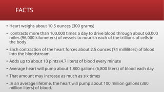 FACTS
▪ Heart weighs about 10.5 ounces (300 grams)
▪ contracts more than 100,000 times a day to drive blood through about 60,000
miles (96,000 kilometers) of vessels to nourish each of the trillions of cells in
the body
▪ Each contraction of the heart forces about 2.5 ounces (74 milliliters) of blood
into the bloodstream
▪ Adds up to about 10 pints (4.7 liters) of blood every minute
▪ Average heart will pump about 1,800 gallons (6,800 liters) of blood each day
▪ That amount may increase as much as six times
▪ In an average lifetime, the heart will pump about 100 million gallons (380
million liters) of blood.
 