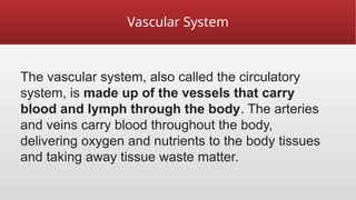 Vascular System
The vascular system, also called the circulatory
system, is made up of the vessels that carry
blood and lymph through the body. The arteries
and veins carry blood throughout the body,
delivering oxygen and nutrients to the body tissues
and taking away tissue waste matter.
 