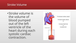 Stroke Volume
▪Stroke volume is
the volume of
blood pumped
out of the left
ventricle of the
heart during each
systolic cardiac
contraction.
 