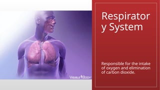 Respirator
y System
Responsible for the intake
of oxygen and elimination
of carbon dioxide.
 
