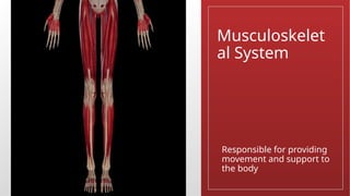 Musculoskelet
al System
Responsible for providing
movement and support to
the body
 