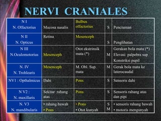 NERVI CRANIALES
N I
N. Olfactorius Mucosa nasalis
Bulbus
olfactorius S Penciuman
N II
N. Opticus
Retina Mesenceph
S Penglihatan
N III
N.Oculomotorius Mesenceph
Otot ekstrinsik
mata (*) M
Gerakan bola mata (*)
Elevasi palpebra sup
Konstriksi pupil
N. IV
N. Trohlearis
Mesenceph M. Obl. Sup.
mata
M Gerak bola mata ke
laterocaudal
NV1 : Opthalmicus Dahi Pons S Sensoris dahi
N V2 :
N. maxillaris
Sekitar rahang
atas
Pons S Sensoris rahang atas
dan pipi
N. V3
N. mandibularis
• rahang bawah
• Pons
• Pons
• Otot kunyah
S
M
• sensoris rahang bawah
• motoris mengunyah
 