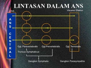LINTASAN DALAM ANS
Ggl. Paravertebralis Ggl.Prevertebralis Ggl. Terminalis
CNS Viscera/ Efektor
Truncus Symphaticus
Ganglion Symphatis Ganglion Parasympathis
A
N
S
C
E
N
T
R
A
L
 