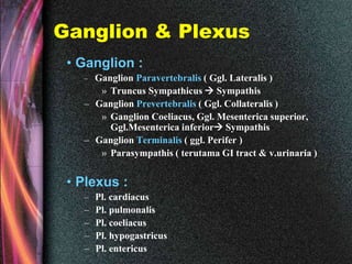 Ganglion & Plexus
• Ganglion :
– Ganglion Paravertebralis ( Ggl. Lateralis )
» Truncus Sympathicus  Sympathis
– Ganglion Prevertebralis ( Ggl. Collateralis )
» Ganglion Coeliacus, Ggl. Mesenterica superior,
Ggl.Mesenterica inferior Sympathis
– Ganglion Terminalis ( ggl. Perifer )
» Parasympathis ( terutama GI tract & v.urinaria )
• Plexus :
– Pl. cardiacus
– Pl. pulmonalis
– Pl. coeliacus
– Pl. hypogastricus
– Pl. entericus
 