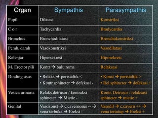 Organ Sympathis Parasympathis
Pupil Dilatasi Konstriksi
C o r Tachycardia Bradycardia
Bronchus Bronchodilatasi Bronchokonstriksi
Pemb. darah Vasokonstriksi Vasodilatasi
Kelenjar Hipersekresi Hiposekresi
M. Erector pili Kontr  bulu roma Relaksasi
Dinding usus • Relaks  peristaltik <
• Kontr.sphincter  defekasi -
• Konst  peristaltik >
• Rel.sphincter  defekasi +
Vesica urinaria Relaks.detrusor / kontraksi
sphincter  Mictie -
Kontr. Detrusor / relaksasi
sphincter  mictie +
Genital Vasokonst  c.cavernosus -- 
vena terbuka  Ereksi -
Vasodil  c.cavern ++ 
vena tertutup  Ereksi +
 