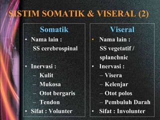 SISTIM SOMATIK & VISERAL (2)
Somatik
• Nama lain :
SS cerebrospinal
• Inervasi :
– Kulit
– Mukosa
– Otot bergaris
– Tendon
• Sifat : Volunter
Viseral
• Nama lain :
SS vegetatif /
splanchnic
• Inervasi :
– Visera
– Kelenjar
– Otot polos
– Pembuluh Darah
• Sifat : Involunter
 