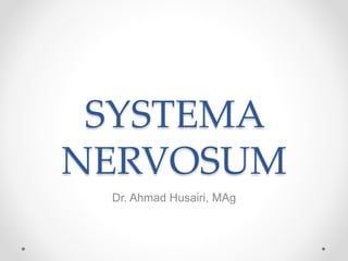 SYSTEMA
NERVOSUM
Dr. Ahmad Husairi, MAg
 