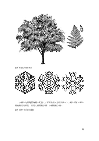 16
圖表 3.雪花的碎形機制
小蝸牛的殼隨著身體一起長大，不用換殼，是碎形機制。大蝸牛殼和小蝸牛
殼有相同的形狀，只是大蝸殼較多圈，小蝸殼較少圈。
圖表 4.蝸牛殼的碎形機制
 