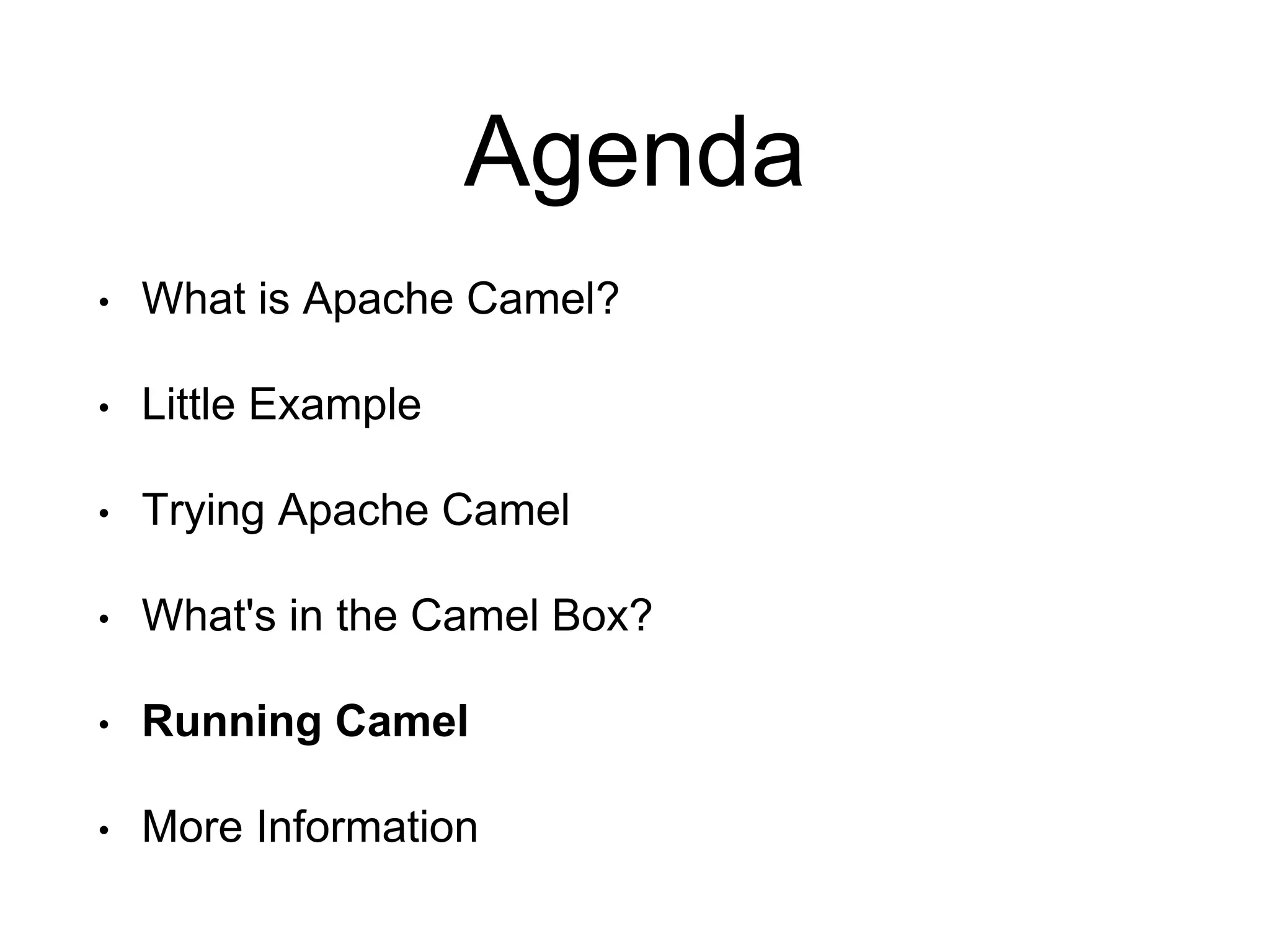 Agenda
• What is Apache Camel?
• Little Example
• Trying Apache Camel
• What's in the Camel Box?
• Running Camel
• More Information
 