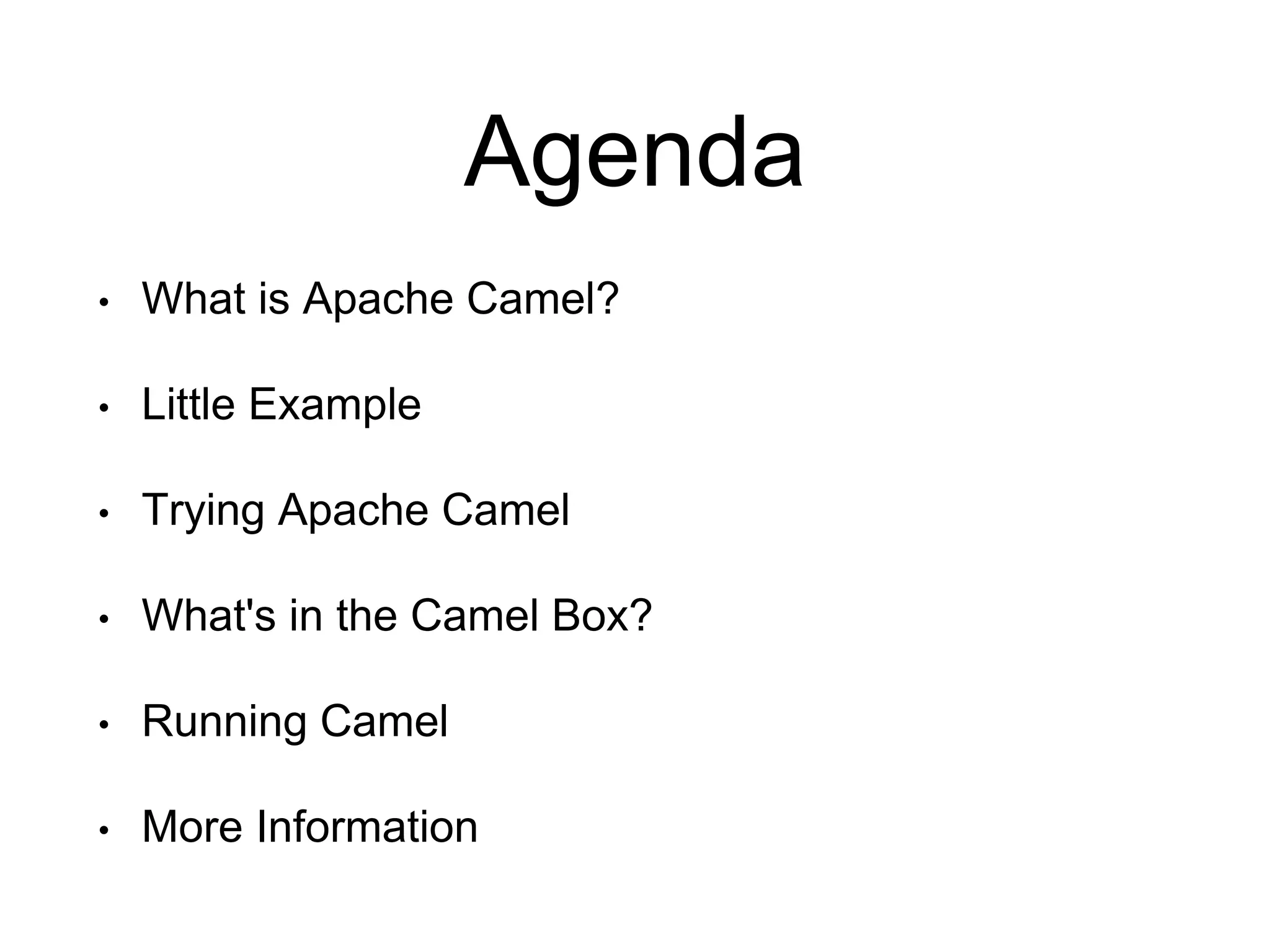 Agenda
• What is Apache Camel?
• Little Example
• Trying Apache Camel
• What's in the Camel Box?
• Running Camel
• More Information
 