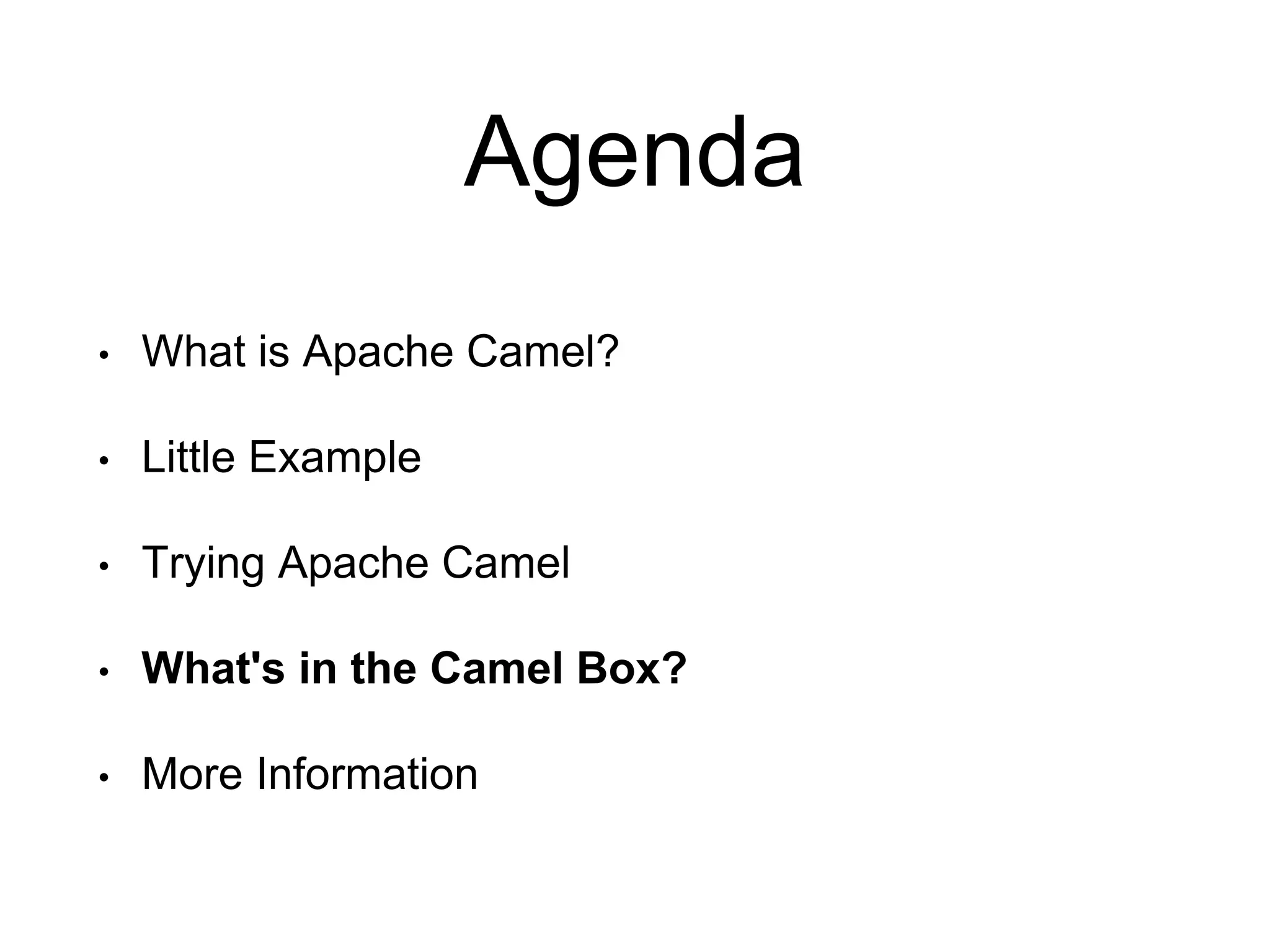 Agenda
• What is Apache Camel?
• Little Example
• Trying Apache Camel
• What's in the Camel Box?
• More Information
 