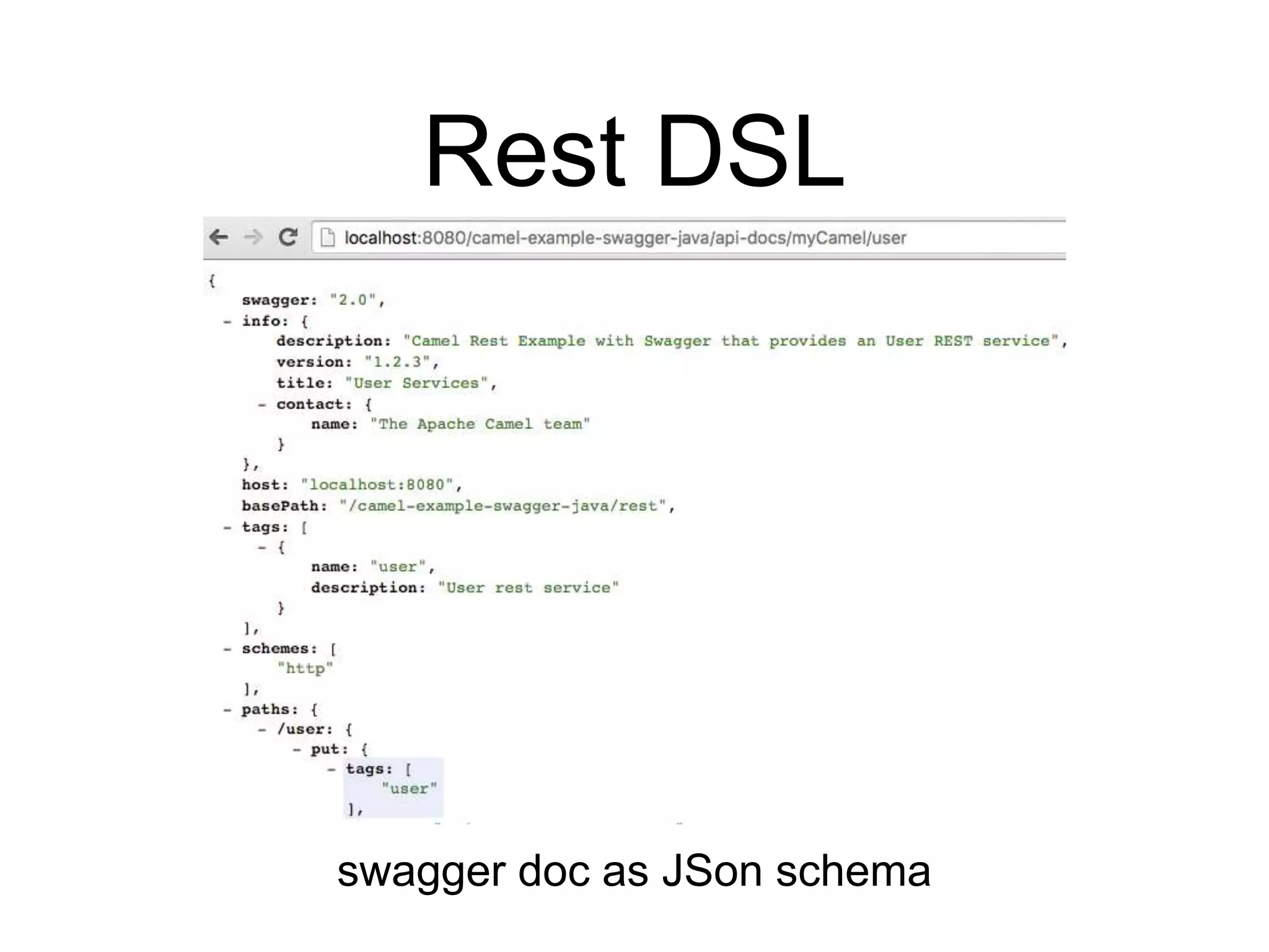 Rest DSL
swagger doc as JSon schema
 