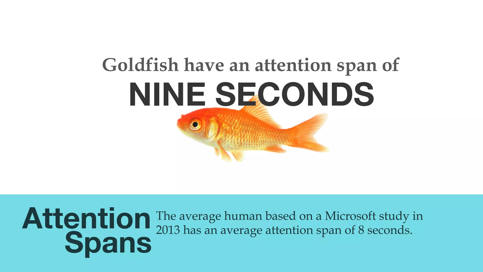 @msweezey
Attention 
Spans
The average human based on a Microsoft study in
2013 has an average attention span of 8 seconds.
NINE SECONDS
Goldfish have an attention span of
 