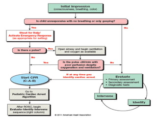 Systematic approach to the seriously ill or injured (PALS) | PPTX