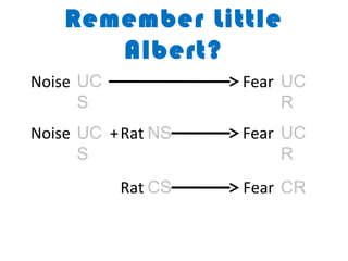 Remember Little
Albert?
Noise UC
S

Fear UC
R

Noise UC + Rat NS
S

Fear UC
R

Rat CS

Fear CR

 