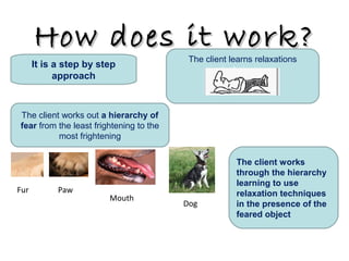 How does it work?

It is a step by step
approach

The client learns relaxations
techniques

The client works out a hierarchy of
fear from the least frightening to the
most frightening

Fur

Paw

Mouth

Dog

The client works
through the hierarchy
learning to use
relaxation techniques
in the presence of the
feared object

 