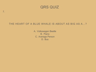 THE HEART OF A BLUE WHALE IS ABOUT AS BIG AS A…?
QRS QUIZ
7.
A. Volkswagen Beetle
B. Piano
C. Average Person
D. Bus
 