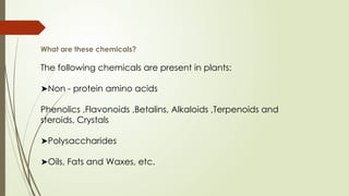 What are these chemicals?
The following chemicals are present in plants:
➤Non - protein amino acids
Phenolics ,Flavonoids ,Betalins, Alkaloids ,Terpenoids and
steroids, Crystals
➤Polysaccharides
➤Oils, Fats and Waxes, etc.
 