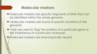 Molecular markers
Molecular markers are specific fragments of DNA that can
be identified within the whole genome.
 Molecular markers are found at specific locations of the
genome.
 They are used to 'flag' the position of a particular gene or
the inheritance of a particular character.
Molecular markers are phenotypically neutral.
 
