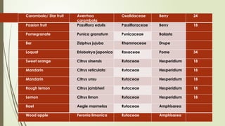 Carambola/ Star fruit Averrhoa
carambola
Oxalidaceae Berry 24
Passion fruit Passiflora edulis Passifloraceae Berry 18
Pomegranate Punica granatum Punicaceae Balasta
Ber Ziziphus jujuba Rhamnaceae Drupe
Loquat Eriobotrya japonica Rosaceae Pome 34
Sweet orange Citrus sinensis Rutaceae Hesperidium 18
Mandarin Citrus reticulata Rutaceae Hesperidium 18
Mandarin Citrus unsu Rutaceae Hesperidium 18
Rough lemon Citrus jambheri Rutaceae Hesperidium 18
Lemon Citrus limon Rutaceae Hesperidium 18
Bael Aegle marmelos Rutaceae Amphisarea
Wood apple Feronia limonica Rutaceae Amphisarea
 