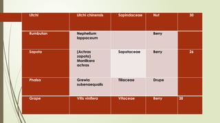 Litchi Litchi chinensis Sapindaceae Nut 30
Rumbutan Nephelium
lappaceum
Berry
Sapota (Achras
zapota)
Manilkara
achras
Sapotaceae Berry 26
Phalsa Grewia
subenaequalis
Tiliaceae Drupe
Grape Vitis vinifera Vitaceae Berry 38
 
