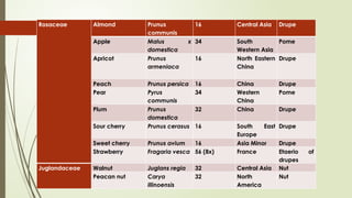 Rosaceae Almond Prunus
communis
16 Central Asia Drupe
Apple Malus x
domestica
34 South
Western Asia
Pome
Apricot Prunus
armeniaca
16 North Eastern
China
Drupe
Peach Prunus persica 16 China Drupe
Pear Pyrus
communis
34 Western
China
Pome
Plum Prunus
domestica
32 China Drupe
Sour cherry Prunus cerasus 16 South East
Europe
Drupe
Sweet cherry Prunus avium 16 Asia Minor Drupe
Strawberry Fragaria vesca 56 (8x) France Etaerio of
drupes
Juglandaceae Walnut Juglans regia 32 Central Asia Nut
Peacan nut Carya
illinoensis
32 North
America
Nut
 
