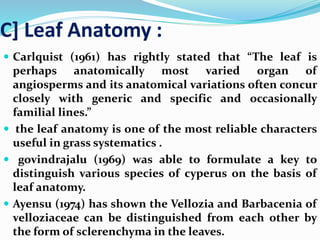 C] Leaf Anatomy :
 Carlquist (1961) has rightly stated that “The leaf is
perhaps anatomically most varied organ of
angiosperms and its anatomical variations often concur
closely with generic and specific and occasionally
familial lines.”
 the leaf anatomy is one of the most reliable characters
useful in grass systematics .
 govindrajalu (1969) was able to formulate a key to
distinguish various species of cyperus on the basis of
leaf anatomy.
 Ayensu (1974) has shown the Vellozia and Barbacenia of
velloziaceae can be distinguished from each other by
the form of sclerenchyma in the leaves.
 