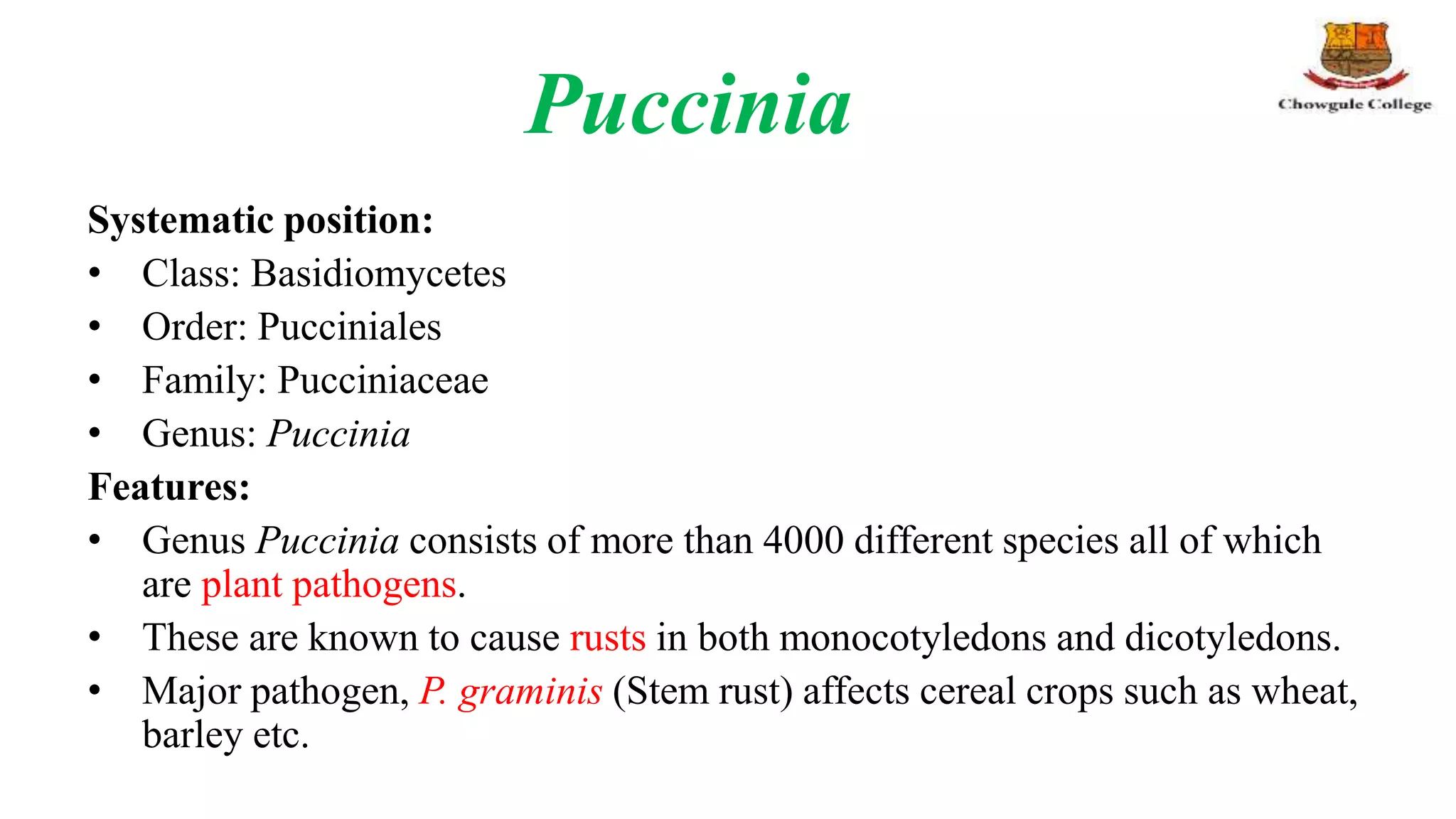 Puccinia
Systematic position:
• Class: Basidiomycetes
• Order: Pucciniales
• Family: Pucciniaceae
• Genus: Puccinia
Features:
• Genus Puccinia consists of more than 4000 different species all of which
are plant pathogens.
• These are known to cause rusts in both monocotyledons and dicotyledons.
• Major pathogen, P. graminis (Stem rust) affects cereal crops such as wheat,
barley etc.
 