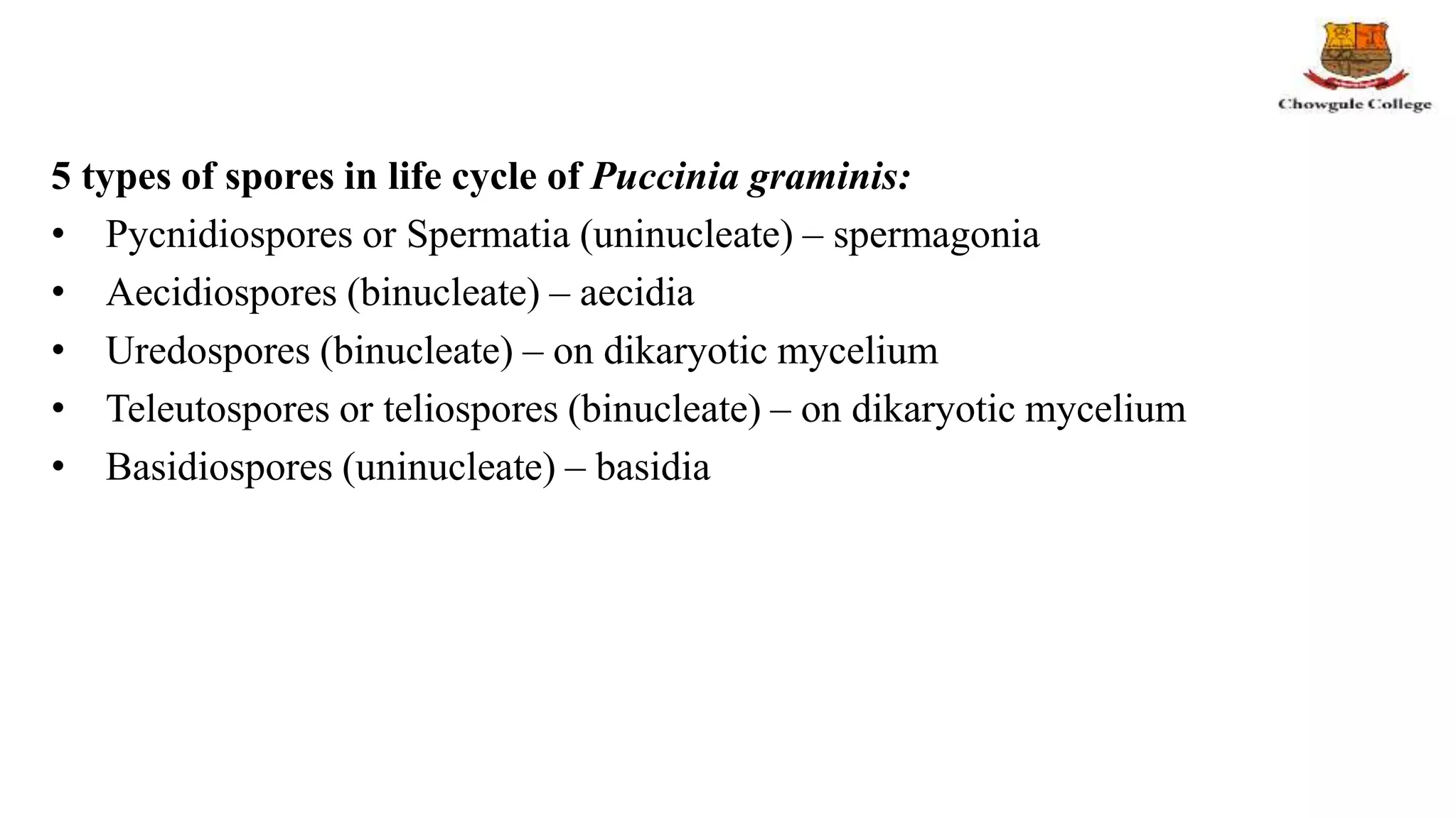 5 types of spores in life cycle of Puccinia graminis:
• Pycnidiospores or Spermatia (uninucleate) – spermagonia
• Aecidiospores (binucleate) – aecidia
• Uredospores (binucleate) – on dikaryotic mycelium
• Teleutospores or teliospores (binucleate) – on dikaryotic mycelium
• Basidiospores (uninucleate) – basidia
 