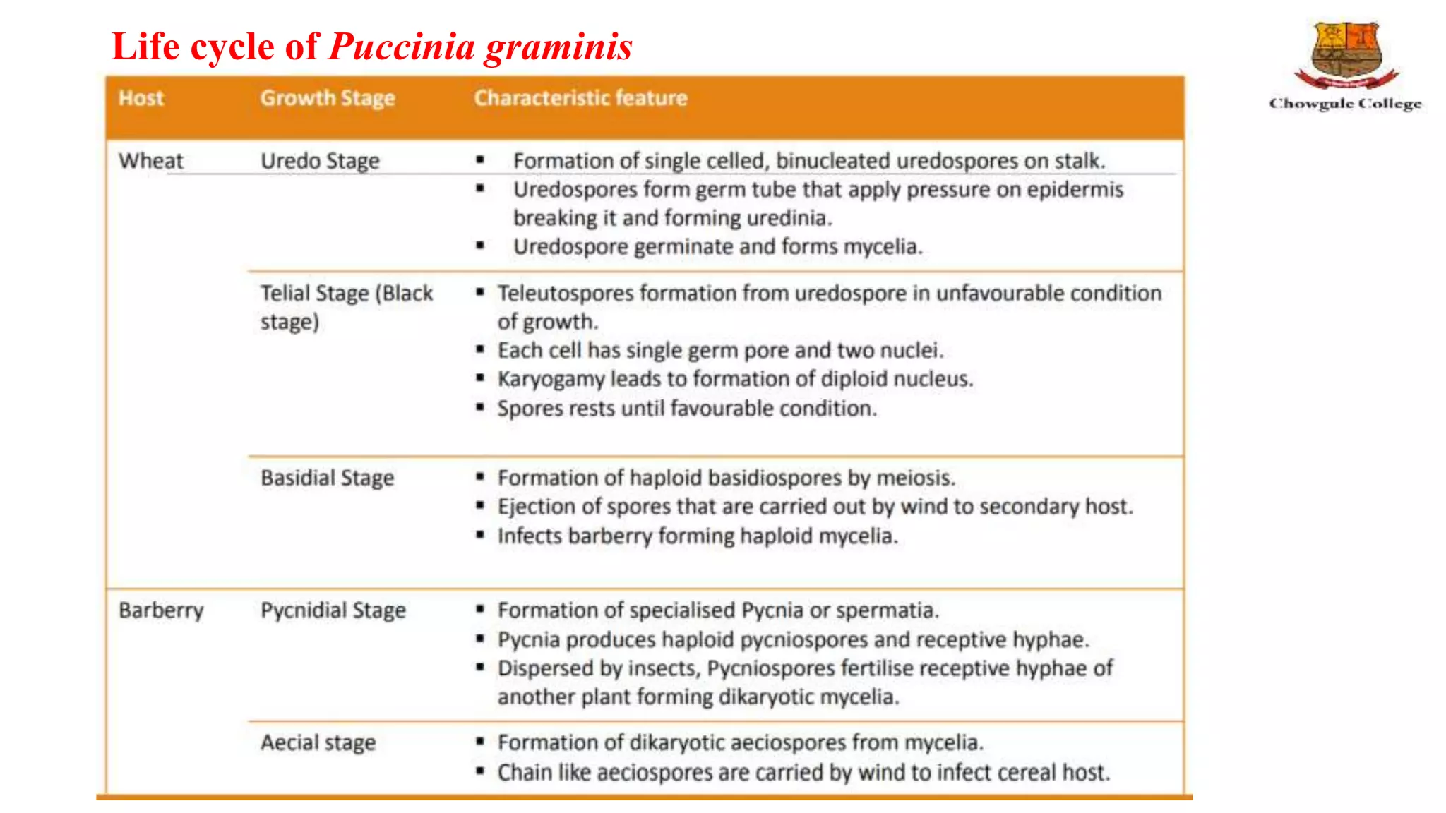 Life cycle of Puccinia graminis
 