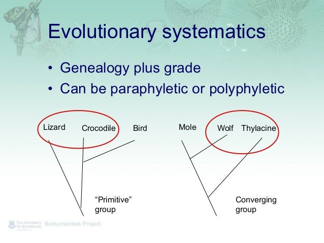 Xeno дота. Набор брони противир варфрейм. Базовая станция lte. 05 void evolution system chapter. 05 void evolution system chapter.