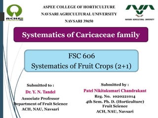 Submitted to :
Associate Professor
Department of Fruit Science
ACH, NAU, Navsari
Systematics of Caricaceae family
Submitted by :
Reg. No. 1020221014
4th Sem. Ph. D. (Horticulture)
Fruit Science
ACH, NAU, Navsari
ASPEE COLLEGE OF HORTICULTURE
NAVSARI AGRICULTURAL UNIVERSITY
NAVSARI 39650
 