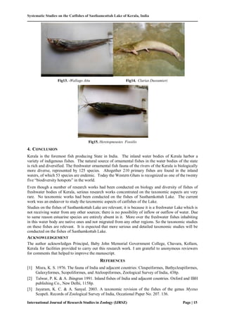 Systematic studies on the catfishes of sasthamcotta | PDF
