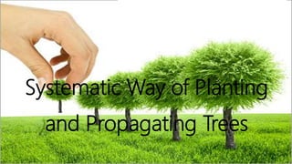 Systematic Way of Planting
and Propagating Trees
 
