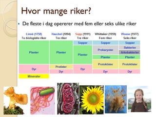 Hvor mange riker?
   De fleste i dag opererer med fem eller seks ulike riker
 