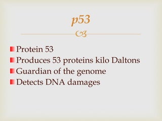 
Protein 53
Produces 53 proteins kilo Daltons
Guardian of the genome
Detects DNA damages
p53
 