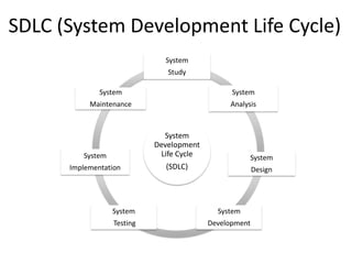 Comprehensive Guide to the System Development Life Cycle (SDLC) Process ...