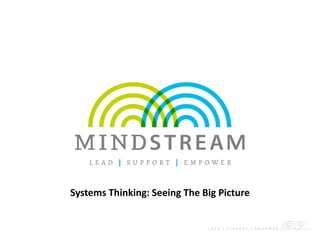 Systems Thinking: Seeing The Big Picture
 