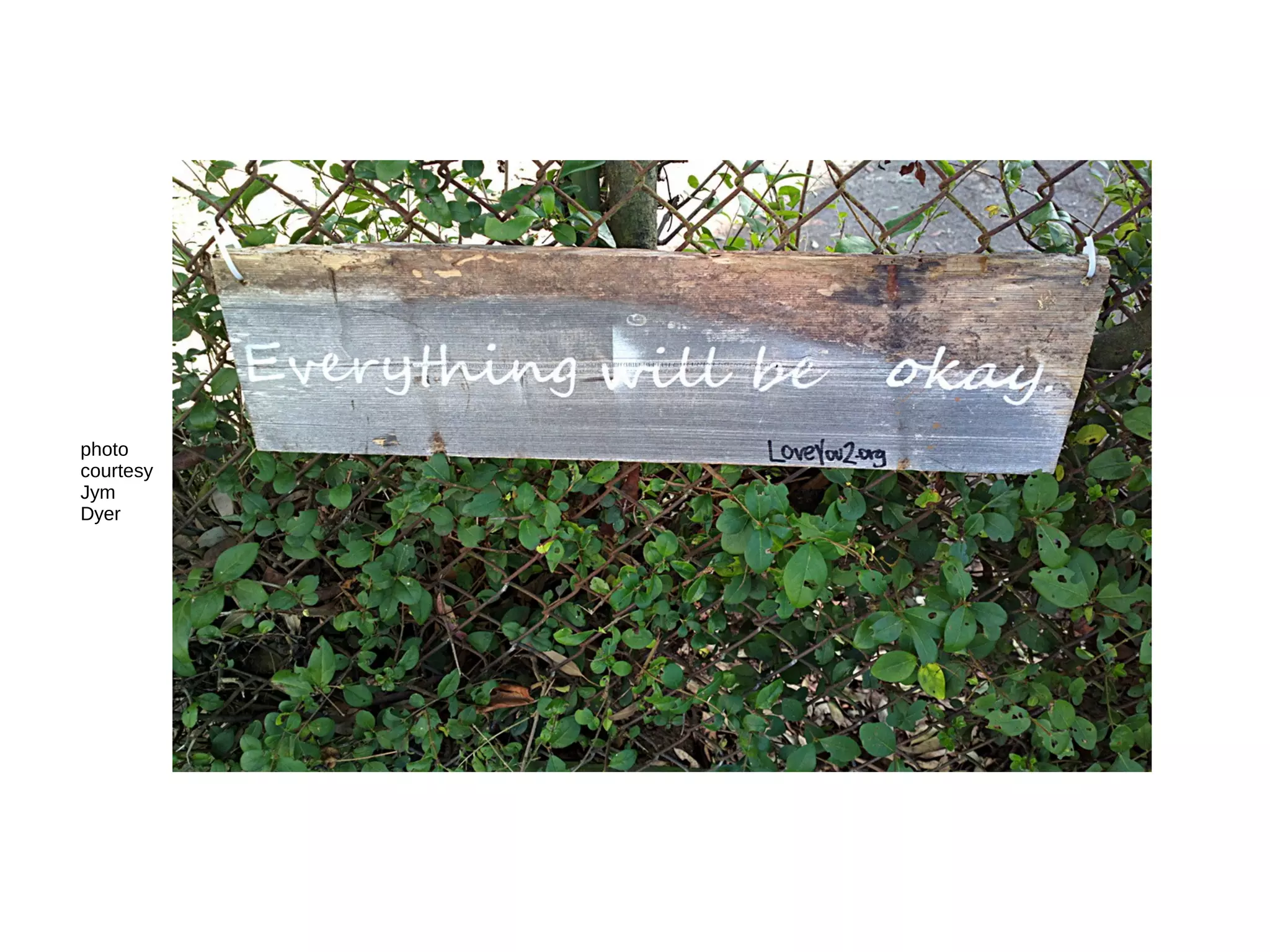 photo
courtesy
Jym
Dyer
 