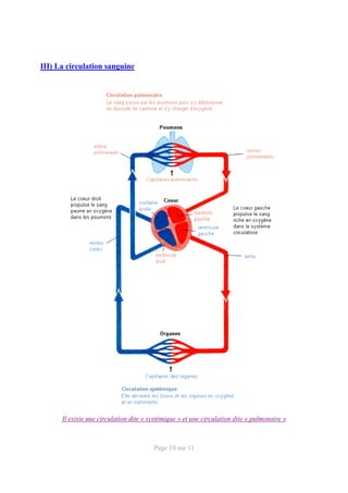 Systeme cardiovasculaire-anatomie | PDF