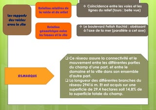 Les rapports
des voiries
avec le site

REMARQUE

Relation relatives de
la voirie et du relief

Relation
géométrique entre
les trames et le site

 Coïncidence entre les voies et les
lignes du relief (tours : belle vue)

 Le boulevard Fellah Rachid : obéissant
à l’axe de la mer (parallèle a cet axe)

 Ce réseau assure la connectivité et le
mouvement entre les différentes parties
du champ d’une part, et entre le
domaine et la ville dans son ensemble
d'autre part.
 La longueur des différentes branches du
réseau 29416 m. Et est acquis sur une
superficie de 29,4 hectares soit 14,8% de
la superficie totale du champ.

 