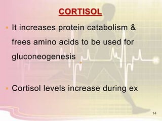 CORTISOL
 It increases protein catabolism &
frees amino acids to be used for
gluconeogenesis
 Cortisol levels increase during ex
14
 