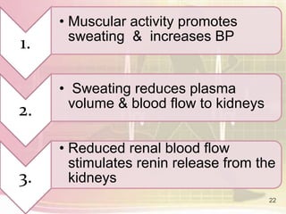 22
1.
• Muscular activity promotes
sweating & increases BP
2.
• Sweating reduces plasma
volume & blood flow to kidneys
3.
• Reduced renal blood flow
stimulates renin release from the
kidneys
 