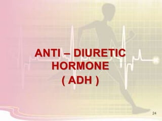 ANTI – DIURETIC
HORMONE
( ADH )
24
 