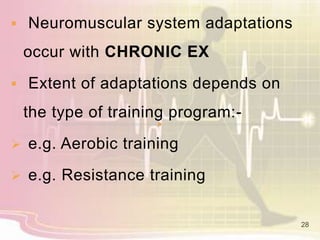  Neuromuscular system adaptations
occur with CHRONIC EX
 Extent of adaptations depends on
the type of training program:-
 e.g. Aerobic training
 e.g. Resistance training
28
 