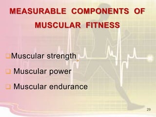 MEASURABLE COMPONENTS OF
MUSCULAR FITNESS
Muscular strength
 Muscular power
 Muscular endurance
29
 