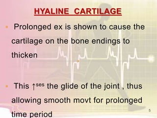 HYALINE CARTILAGE
 Prolonged ex is shown to cause the
cartilage on the bone endings to
thicken
 This ↑ses the glide of the joint , thus
allowing smooth movt for prolonged
time period
5
 