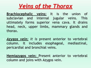 Veins of the Thorax
• Brachiocephalic veins: It is the union of
subclavian and internal jugular veins. This
ultimately forms superior vena cava. It drains
head, neck, upper limbs, mammary glands and
thorax.
• Azygos vein: It is present anterior to vertebral
column. It includes esophageal, mediastinal,
pericardial and bronchial veins.
• Hemiazygos vein: Present anterior to vertebral
column and joins with Azygos vein.
 