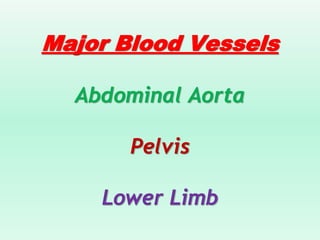 Major Blood Vessels
Abdominal Aorta
Pelvis
Lower Limb
 
